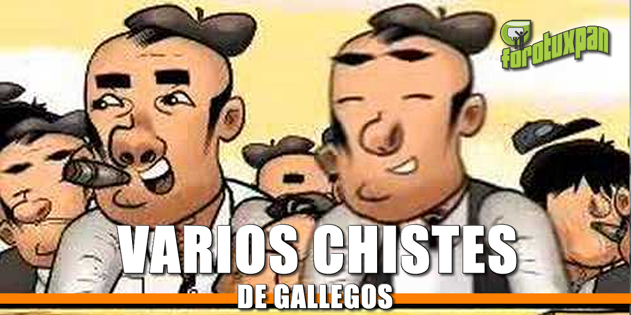 Varios Chistes de Gallegos