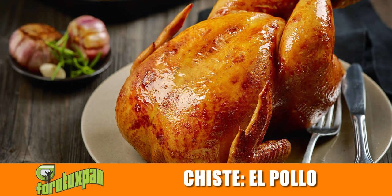 EL POLLO
