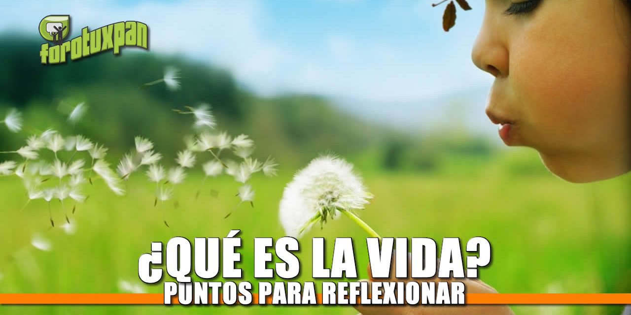 ¿Qué es la VIDA?