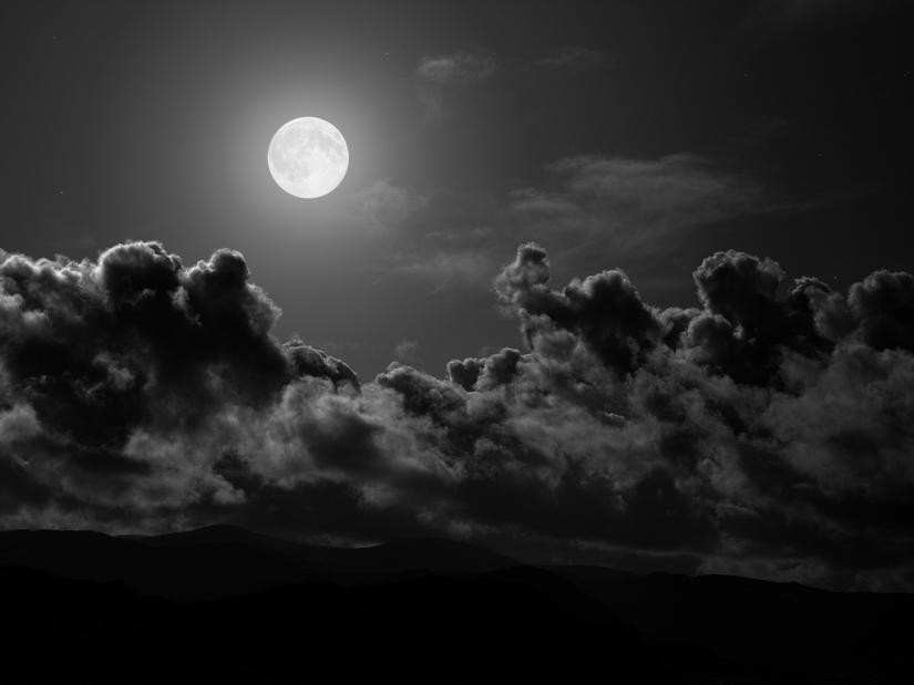 LOS HIJOS DE LA NOCHE