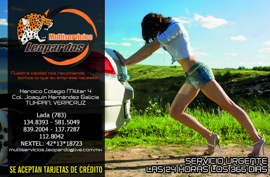 Multiservicios Leopardos