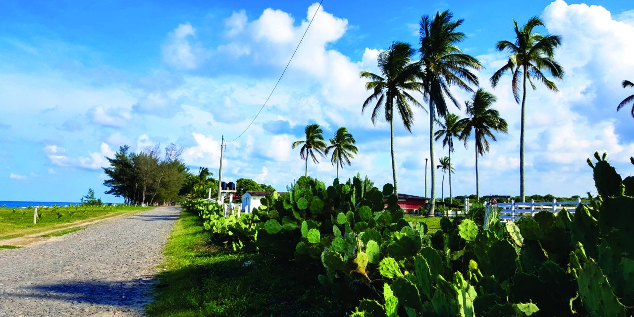 PLAYA VILLAMAR
