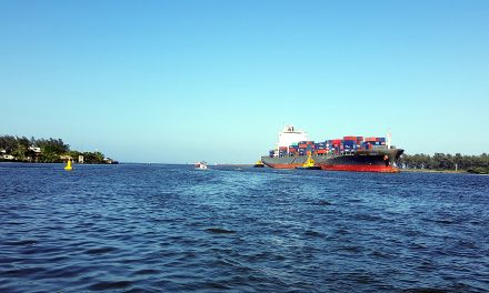 Con la llegada del Hammonia Venetia, Tuxpan Port Terminal inicia operaciones