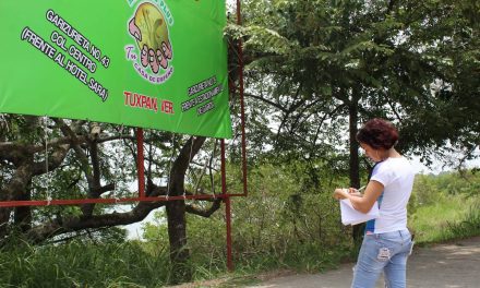 Ayuntamiento de Tuxpan Retira Publicidad de Camellones y Postes