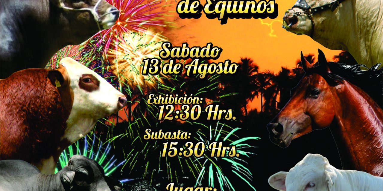 12a Gran Subasta de Ganado Selecto