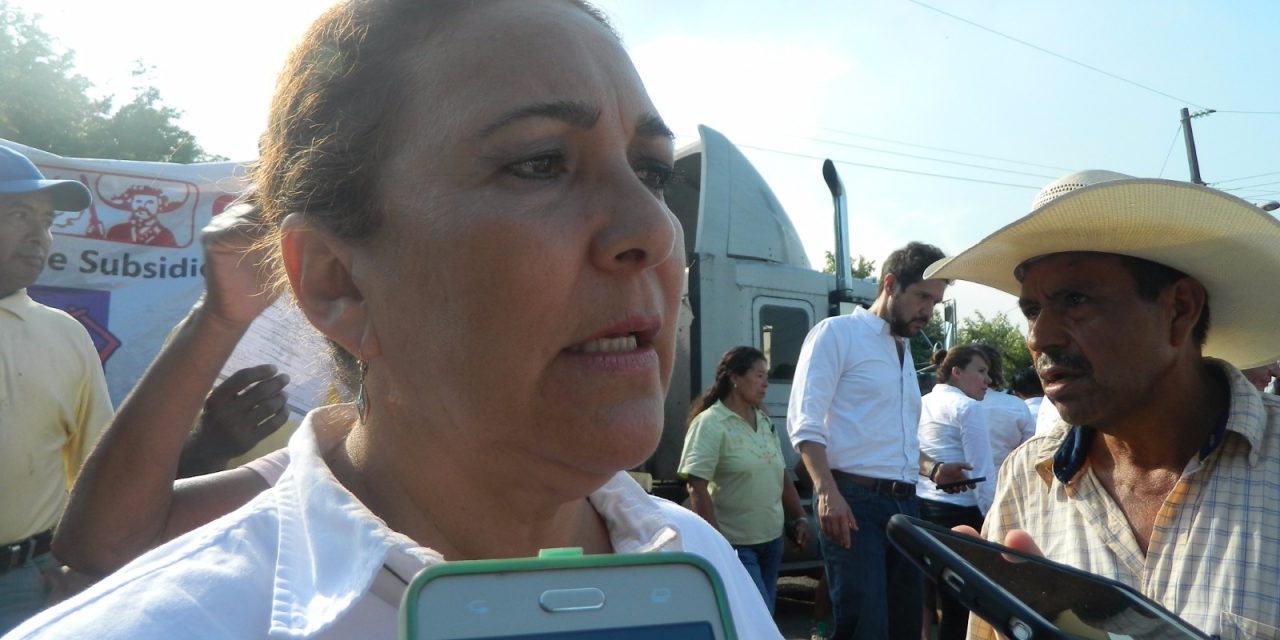 Evaluan daños ocasionados por «Earl» para aplicar el FONDEN