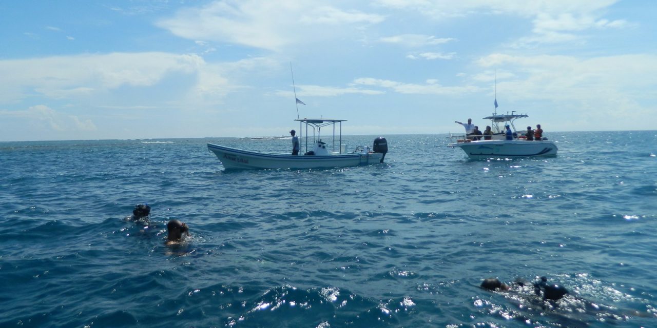 Limpian zonas arrecifales