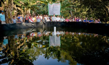 Ayuntamiento de Tuxpan Impulsa Proyecto Acuícola en Higueral