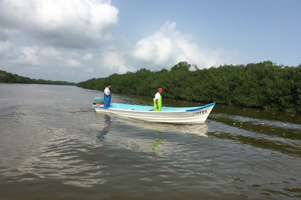 CFE pagará daños ocasionados a laguna de Tampamachoco