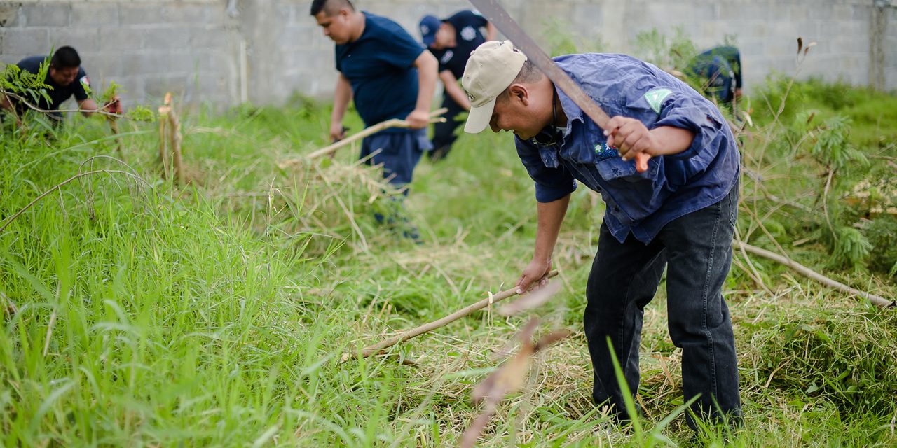 Dependencias Municipales Aterrizan Programa de Labor Social en Campo Real