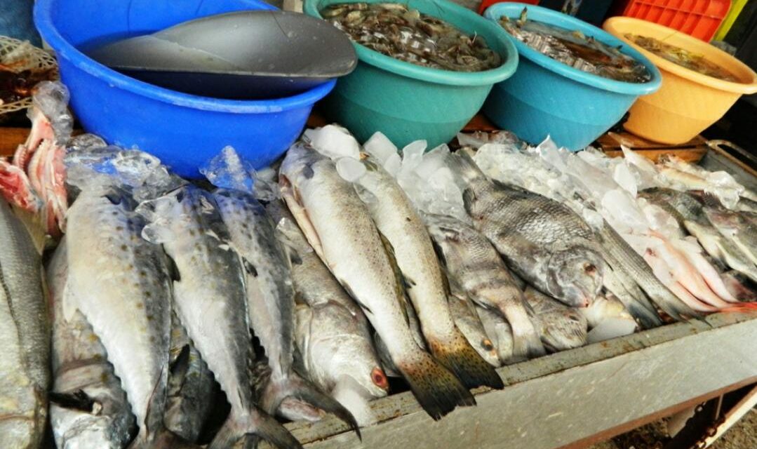 Escasean productos marinos