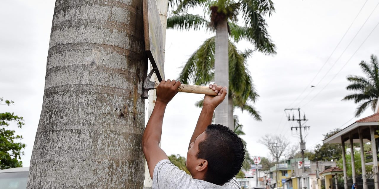 AYUNTAMIENTO DE TUXPAN, REACTIVA OPERATIVO DE DESCONTAMINACIÓN VISUAL