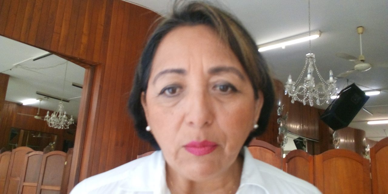 Panal exige seguridad en elecciones