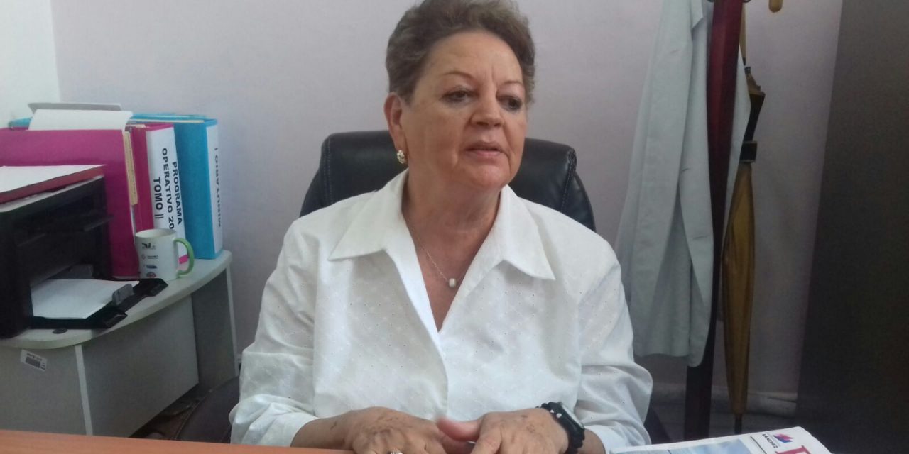 Zona norte sin casos de Dengue, Zika o Chikungunya
