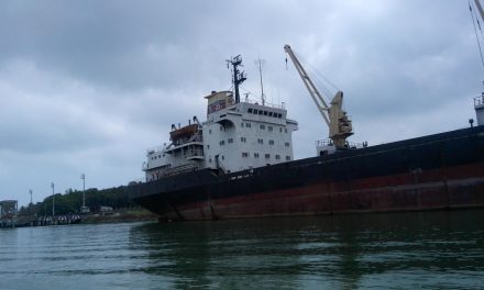 Tuxpan, puerto sin riesgos sanitarios