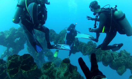 Buscan garantizar la preservación de arrecifes