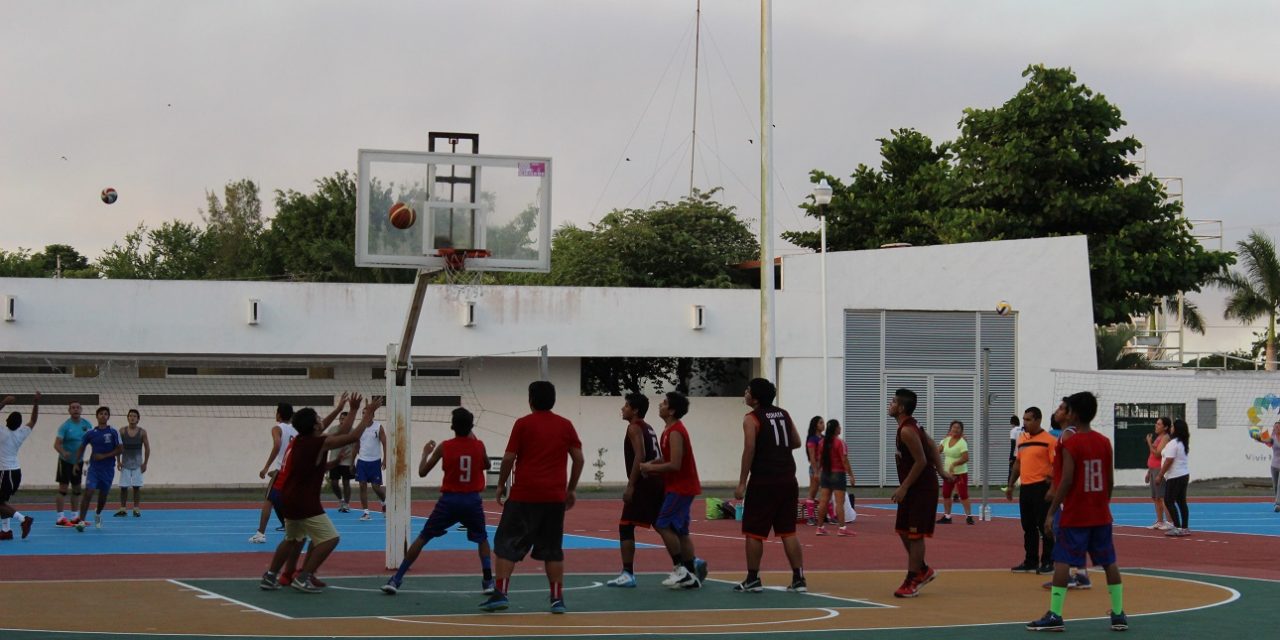 Sharks ya está en las semifinales del baloncesto