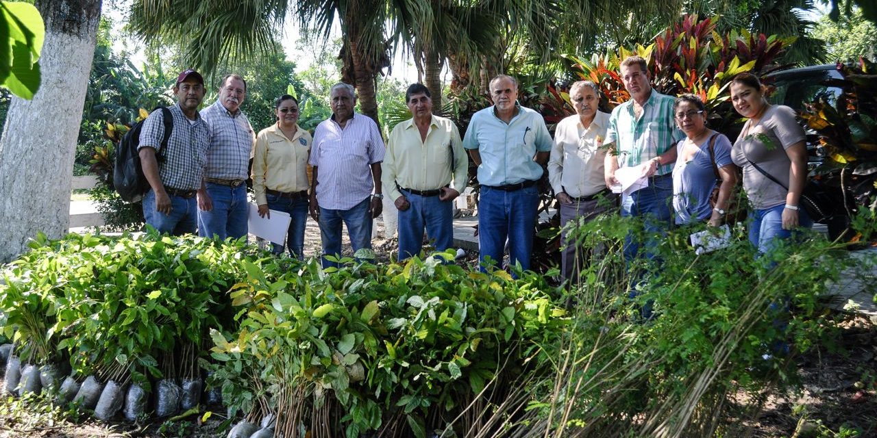 Gobierno Municipal Promueve Reforestación en el Municipio