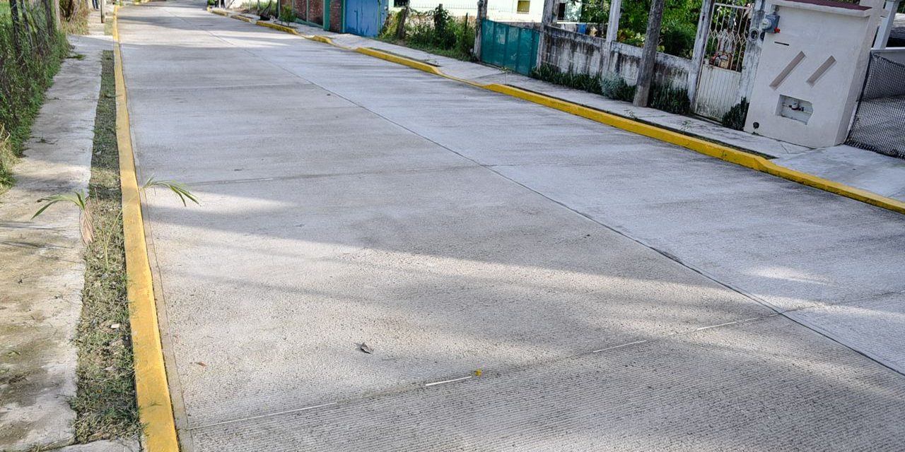 Raúl Ruiz Entrega Pavimentación en Los Pinos