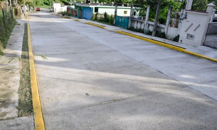 Raúl Ruiz Entrega Pavimentación en Los Pinos