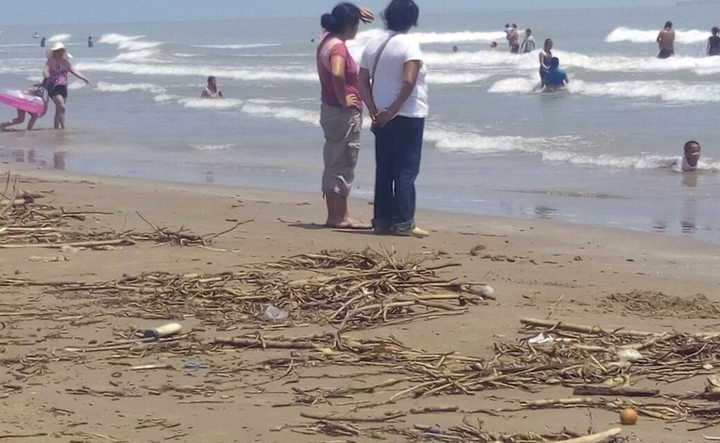 Se redujo afluencia turística en un 80%