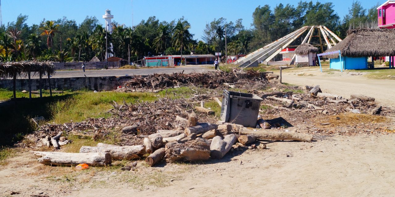 Piden ayuda para retirar palizada de zona de playa