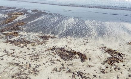 Playas de Tuxpan contaminadas por Chapopote
