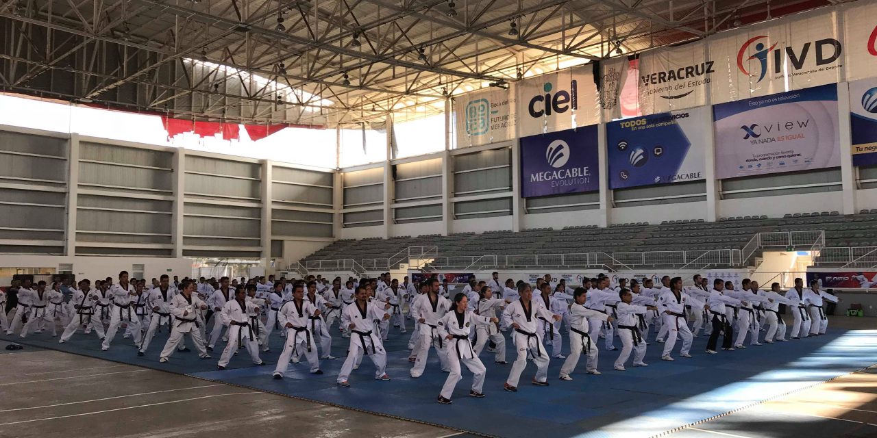 PROFESORES DE KOGURYO TAEKWONDO SE CERTIFICAN EN EL COCET 2018