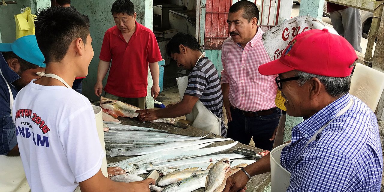 Llegó la hora de legislar por más recursos para el sector pesquero: Pepe Arenas
