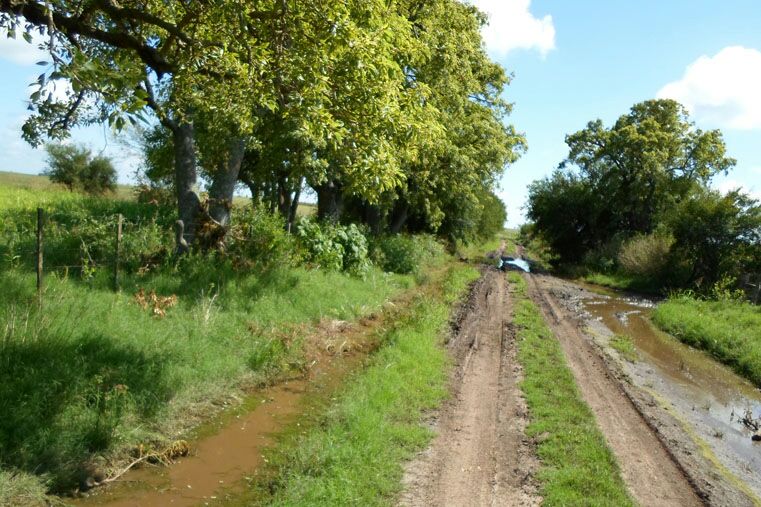 Caminos en mal estado afectan desarrollo de comunidades en Tuxpan