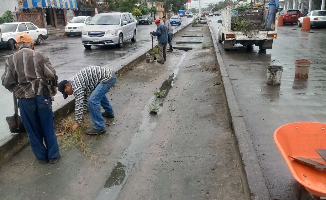En marcha proyecto de embellecimiento