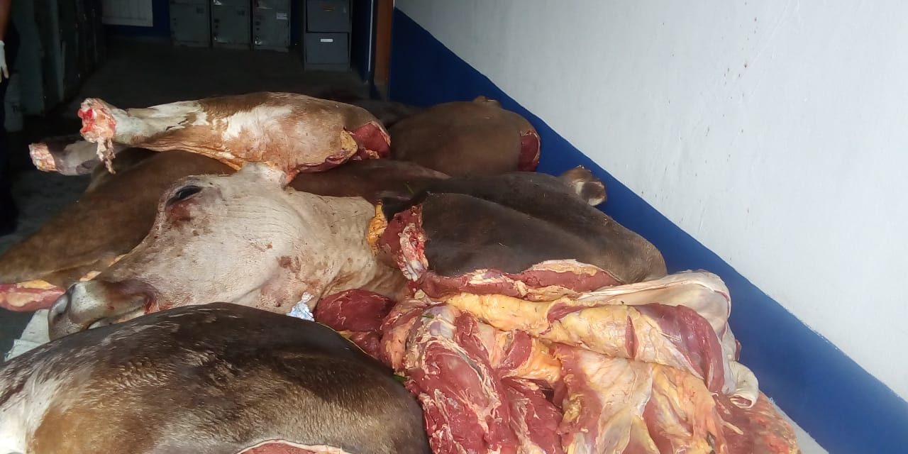 Detienen a presuntos Abigeos