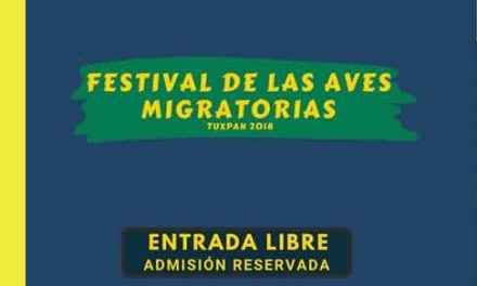 Próximamente Festival de las Aves Migratorias en Tuxpan