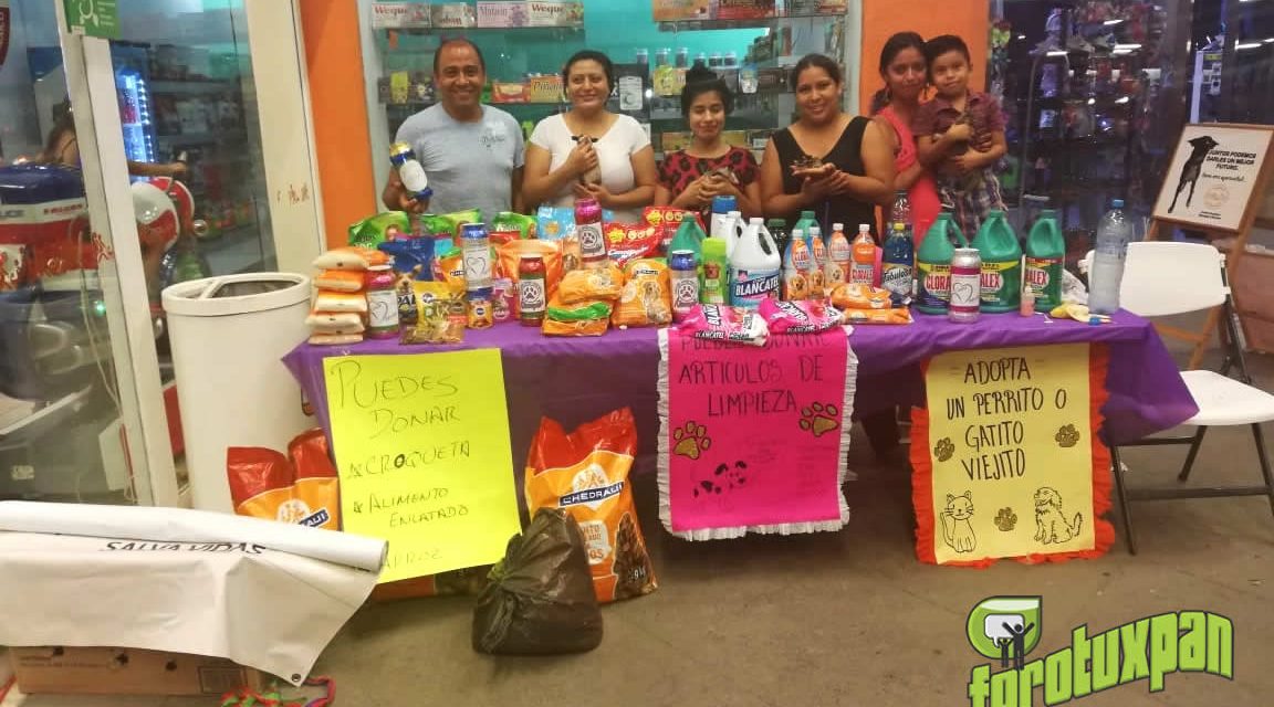 Segundo Croqueton 2018 por refugios de mascotas