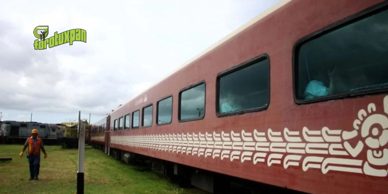 El proyecto del Tren Maya no se llevará a consulta ciudadana