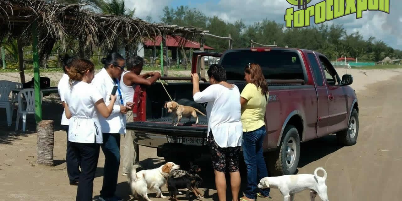 Se Realiza Con Éxito Vacunación Antirrábica en Zona de Playa