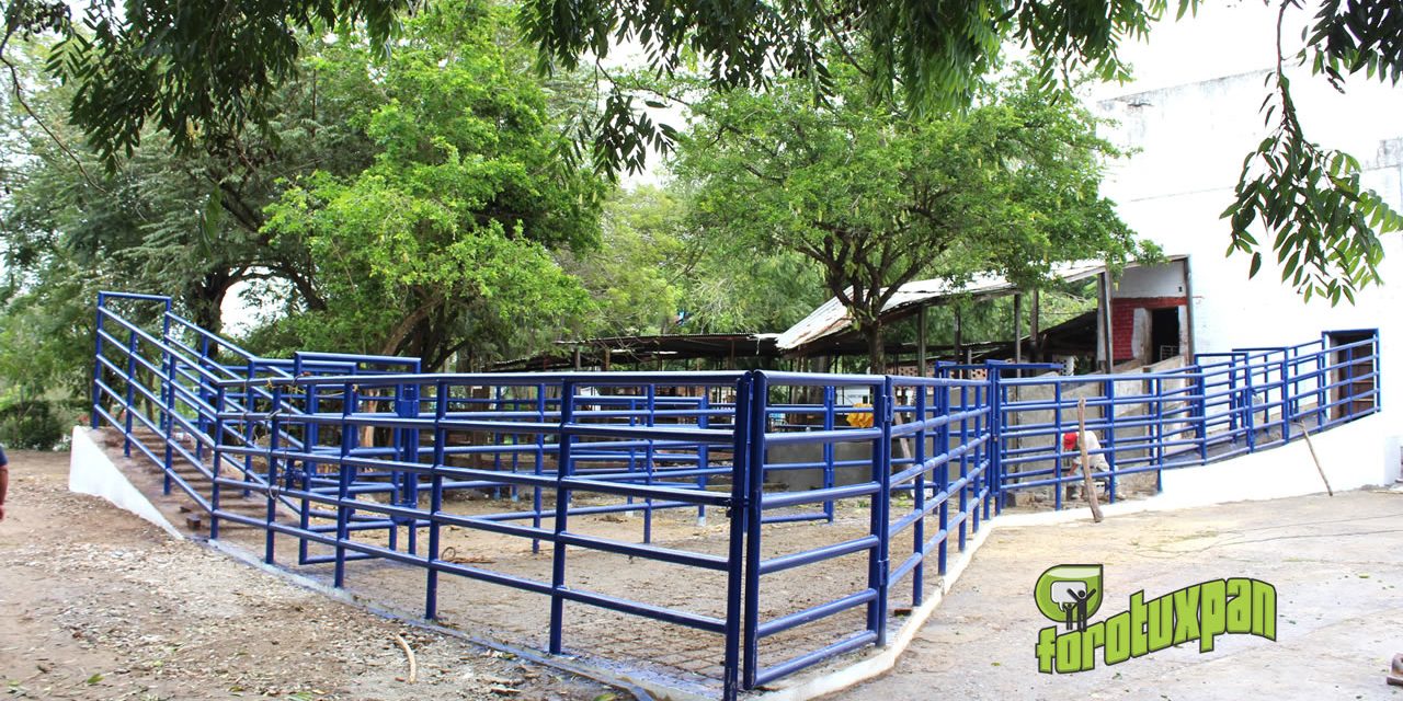 Más de 90 por ciento en la remodelación del corral en el Rastro Municipal