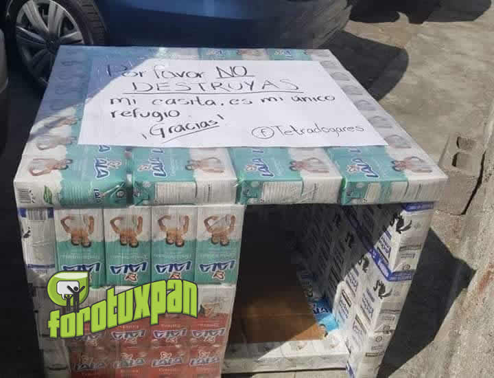 Inventan casitas para perros callejeros