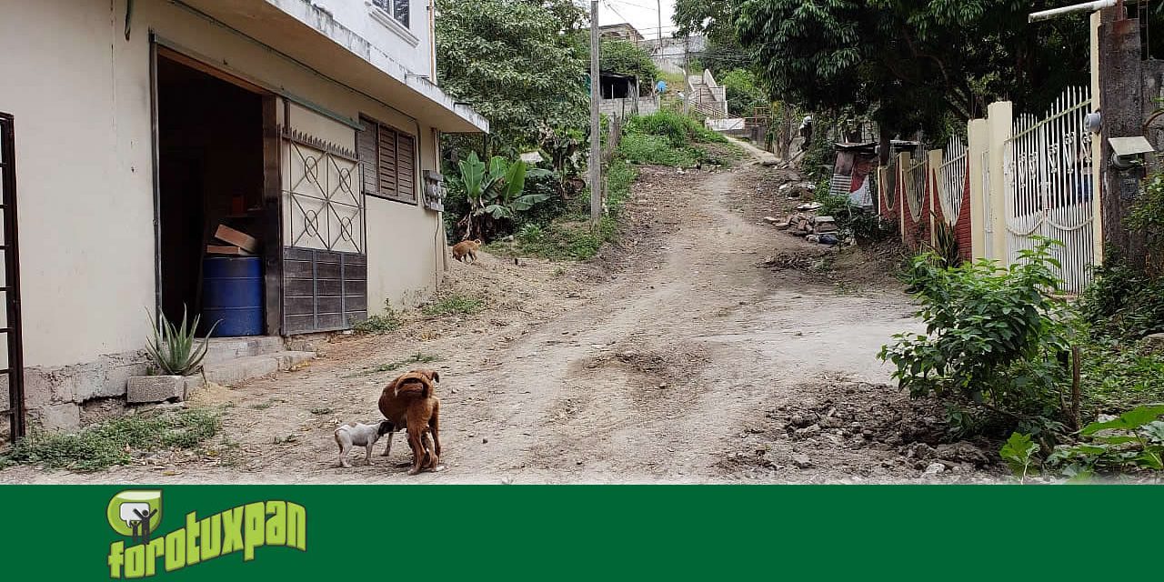 Inauguran obra hidráulica en la colonia Álvarez