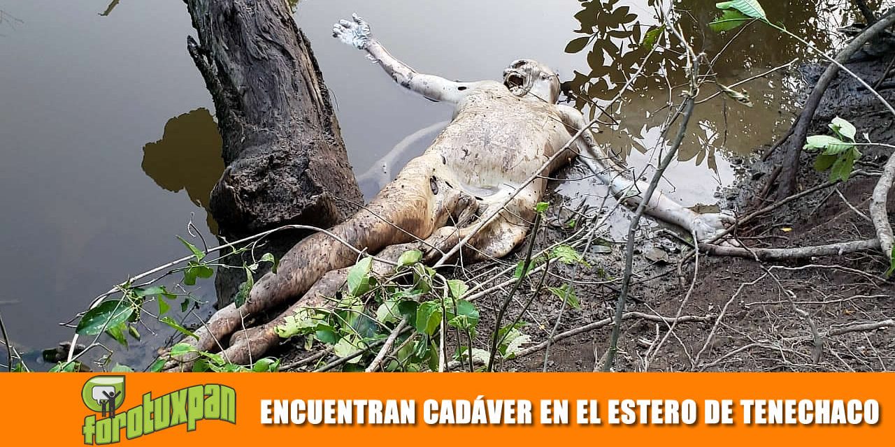 Aparece cadáver en el Estero de Tenechaco