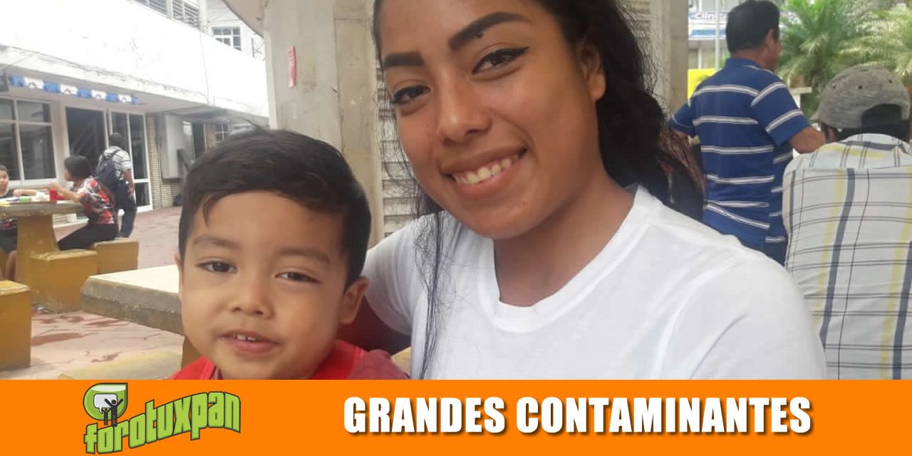 TOALLAS SANITARIAS Y PAÑALES SON GRANDES CONTAMINANTES