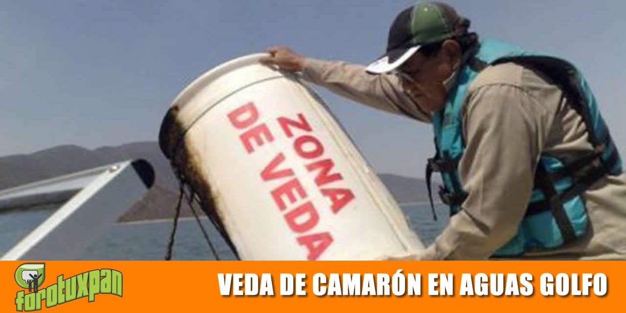 Próxima Veda de Camarón en aguas del Golfo