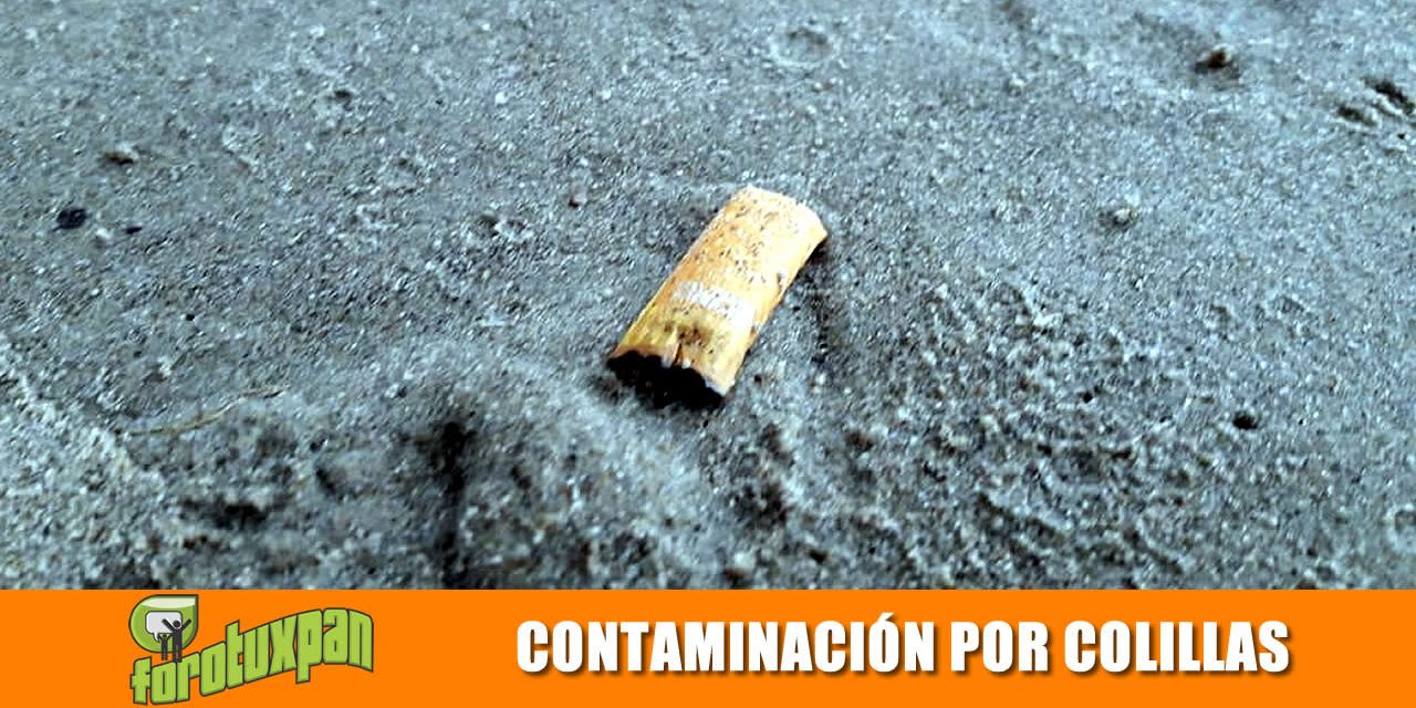 Contaminación por Colillas de Cigarro