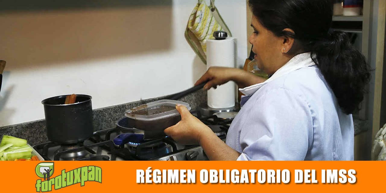Régimen Obligatorio del IMSS