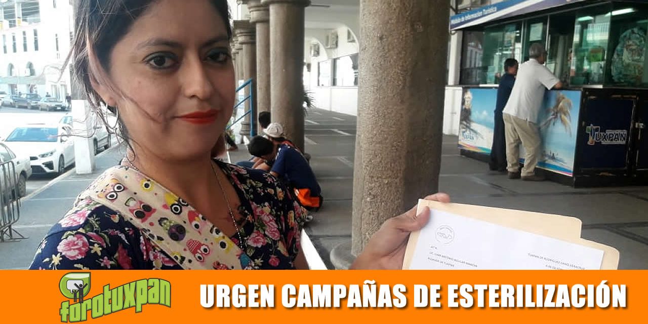 Urgen campañas de esterilización