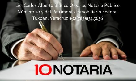 Notaria 10