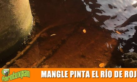 Mangle originó coloración rojiza de Río Tuxpan