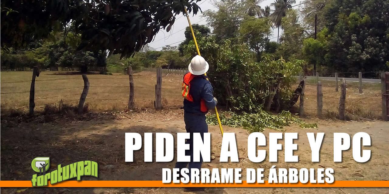 PIDEN A CFE Y A PC INICIEN DESRRAME DE ÁRBOLES