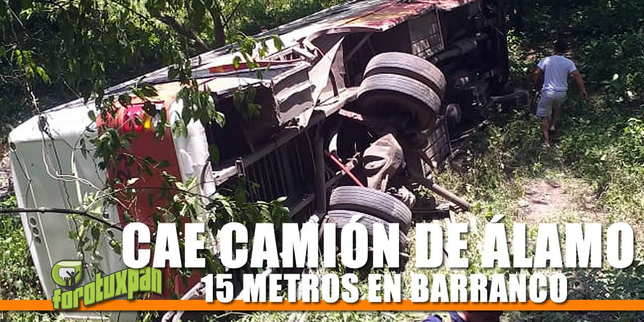 CAE CAMIÓN DE ÁLAMO 15 METROS EN BARRANCO