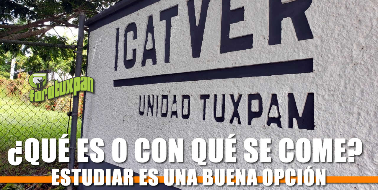icatver-que-es-y-con-que-se-come-2